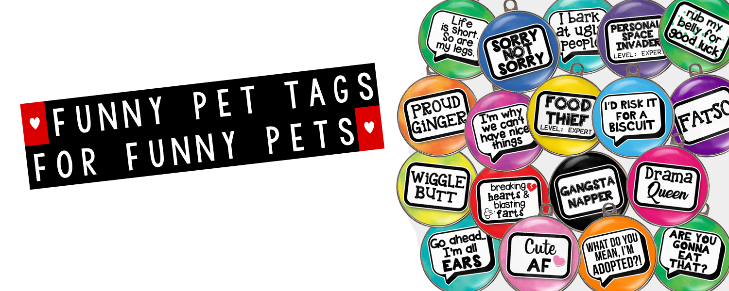Funny Pet Tags For Funny Pets