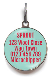 Back of summer ice lolly dog tag - can be personalised with up to 5 lines of text