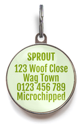 Back Of Kiwi Fruit Pet Tag featuring your personal contact information