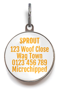 Back of mango pet tag featuring up to 5 lines of text for your important information