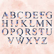 Alphabet showing each letter with floral accent