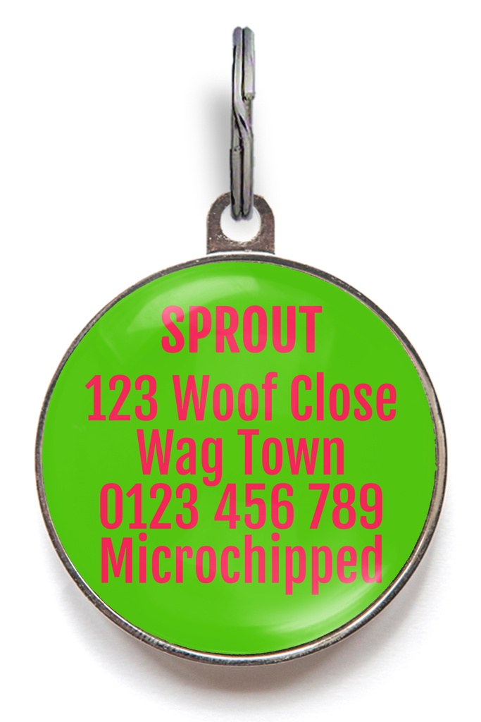 Custom back of watermelon dog tag