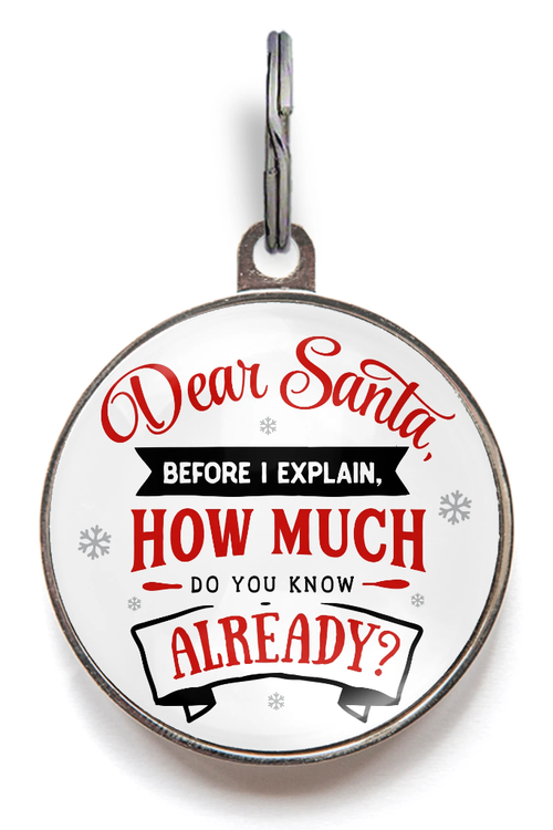 Dear Santa, How Much Do You Know Already? Holiday Pet Tag