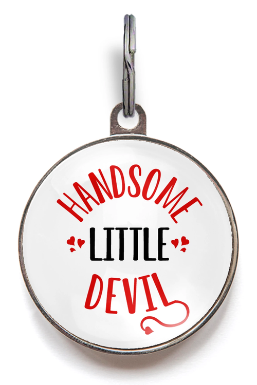Handsome Little Devil Pet Tag