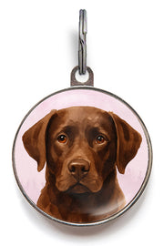 beautiful chocolate labrador on a watercolour pink background