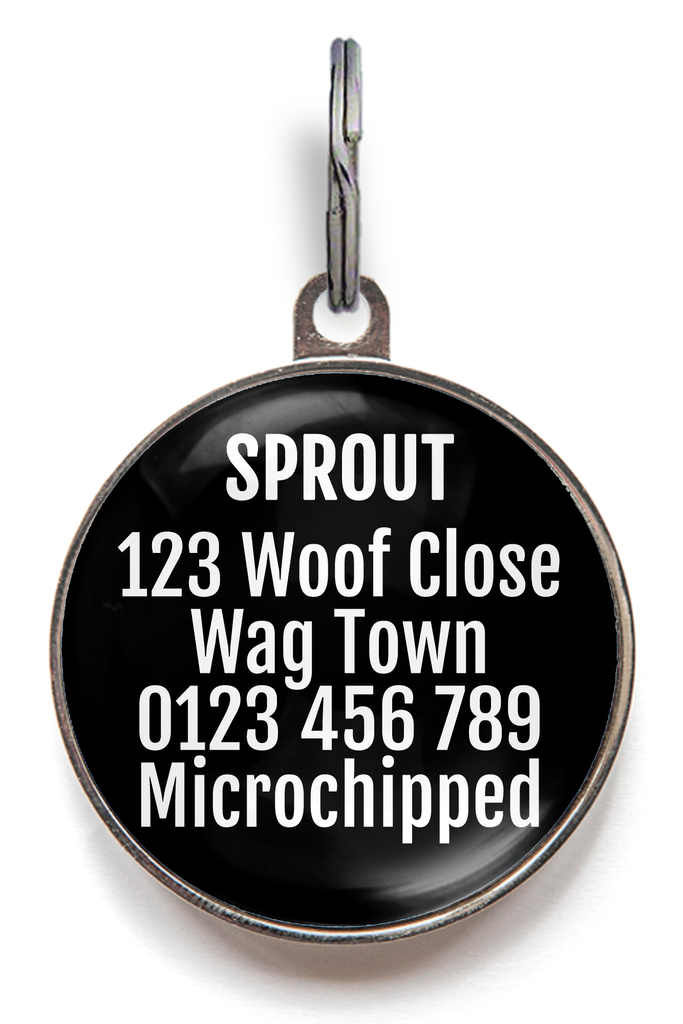 0% Interest Funny Pet Tag