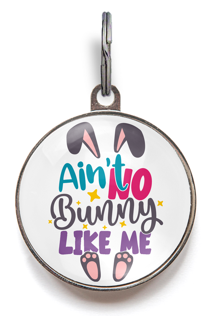 Ain't No Bunny Like Me Easter Pet Tag