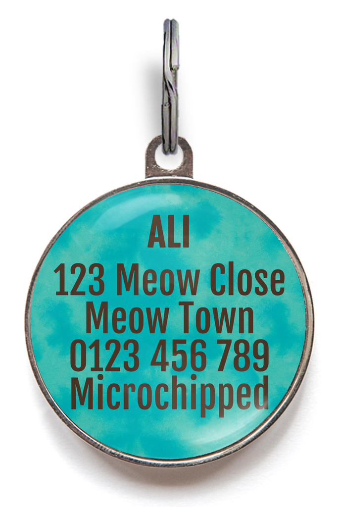 Nacho Cat ID Tag
