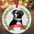 Australian Shepherd Christmas Decoration