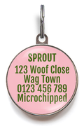 Back of Avocado Pet Tag that can feature up to 5 lines of contact information
