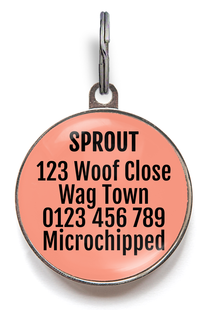 Personalise the back of your beach babe pet tag with up to 100 characters of personal contact information