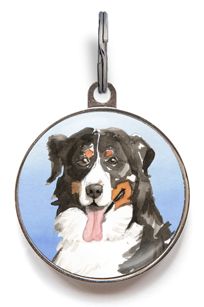 Bernese Mountain Dog Tag - Blue