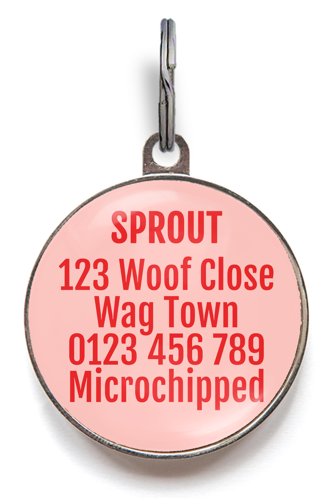 Back of strawberry pet tag for adding 5 lines of your personal contact information