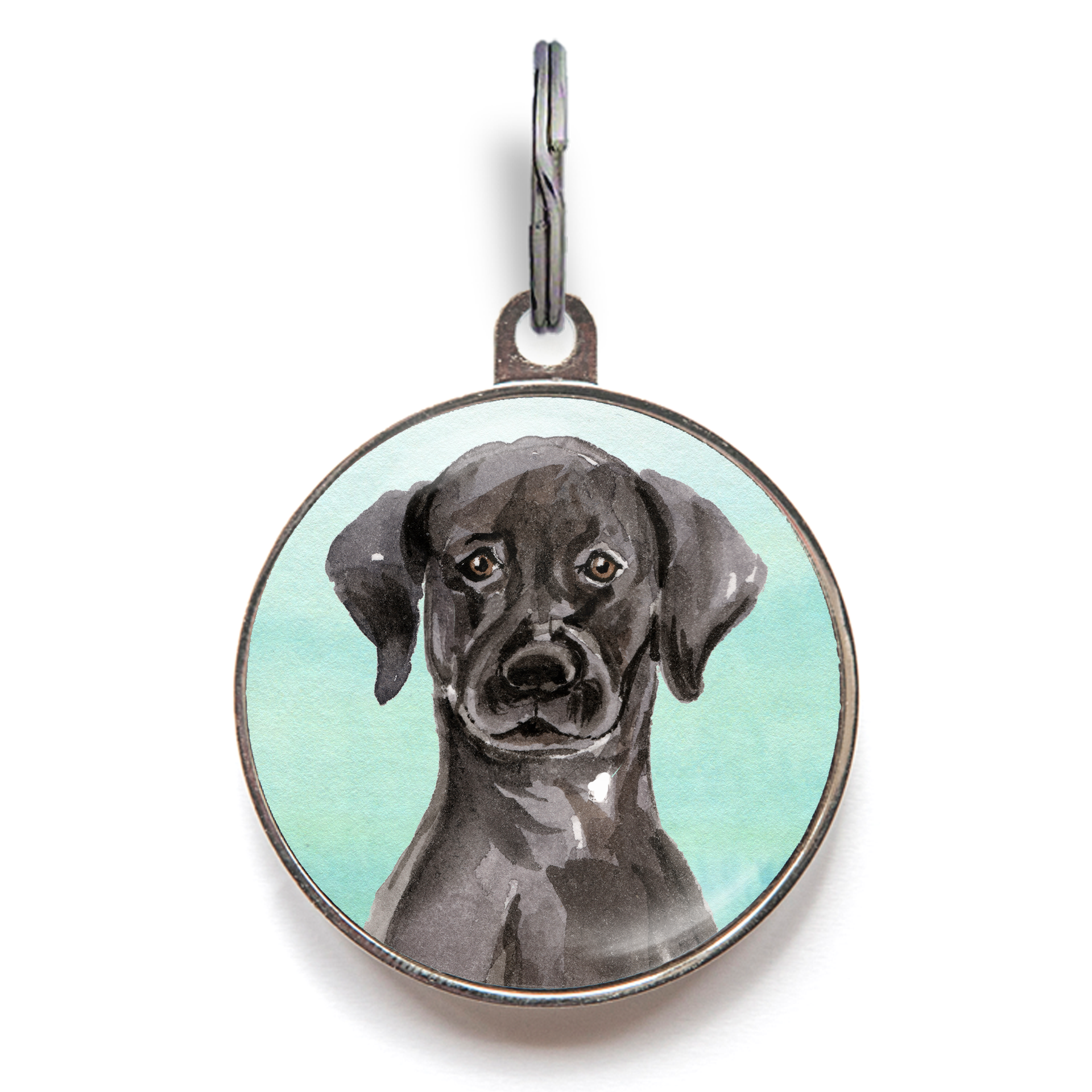 Black Labrador Dog Tag - Green