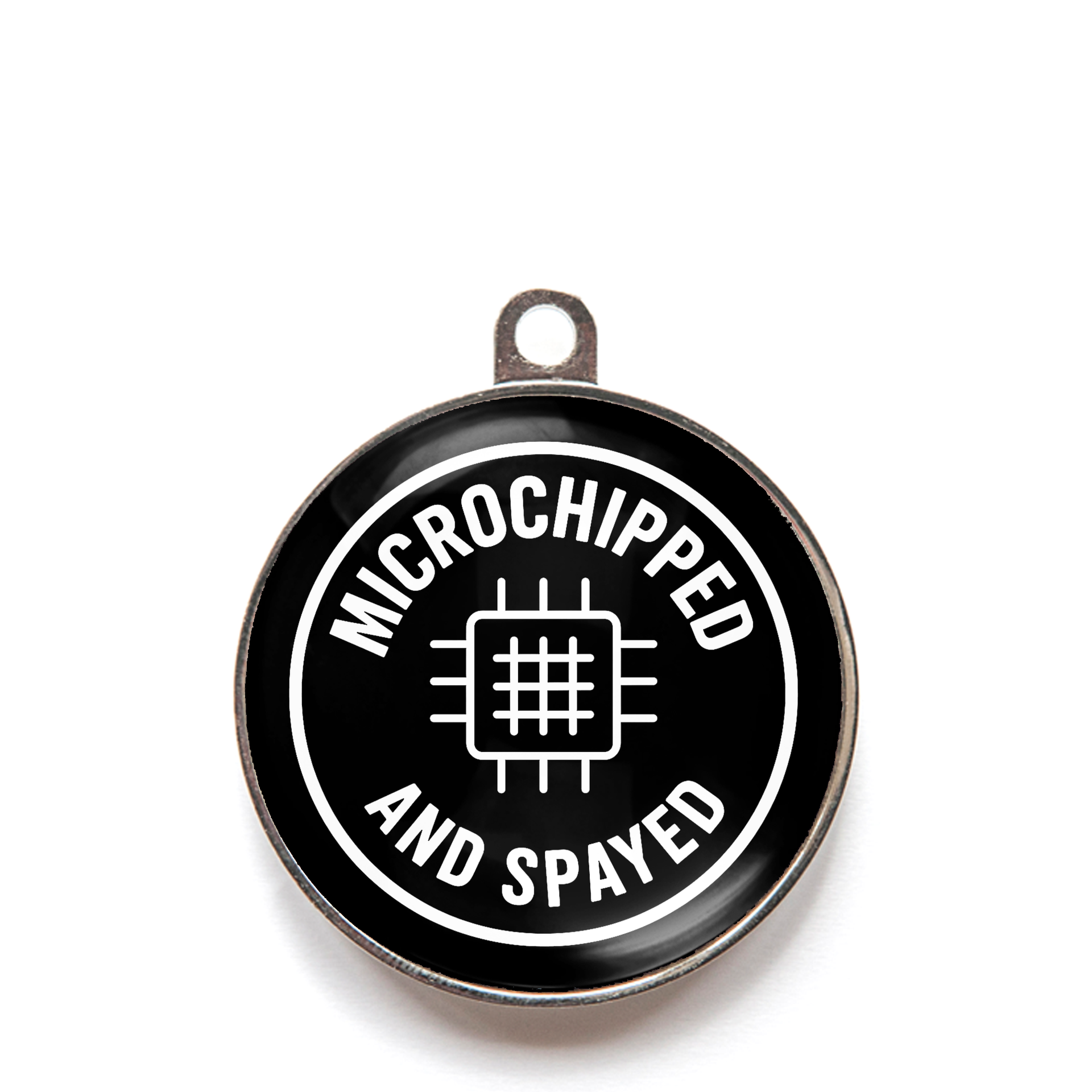 Black microchipped and spayed dog ID tag with chip icon