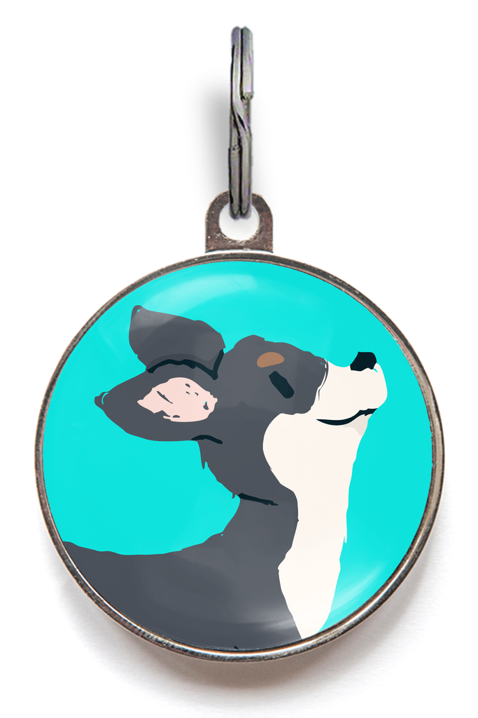 Black & White Chihuahua Dog ID Tag