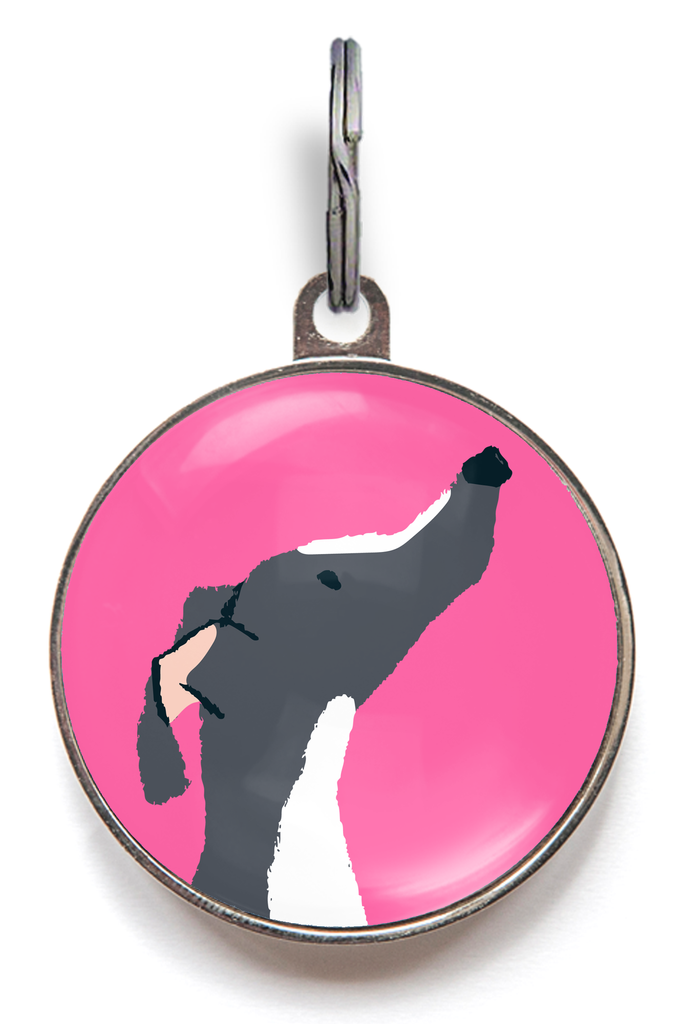 Black and White Greyhound Dog ID Tag