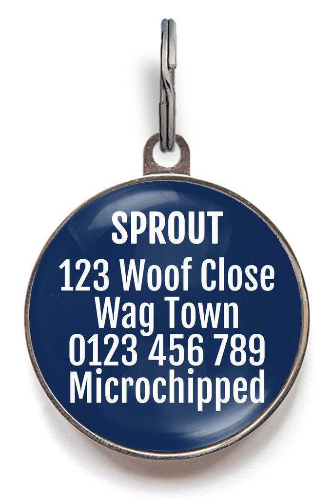 Back of blue bone pet tag