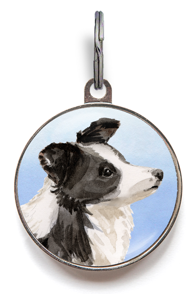 Border Collie Dog Tag - Blue