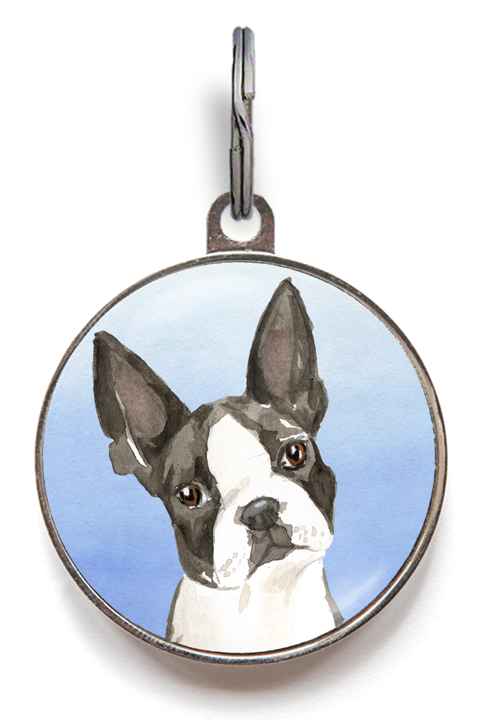 Boston Terrier Dog Tag - Blue