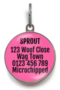 Collie Dog ID Tag - Brown And White