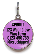 Shih Tzu Dog ID Tag - Gold And White Shih Tzu