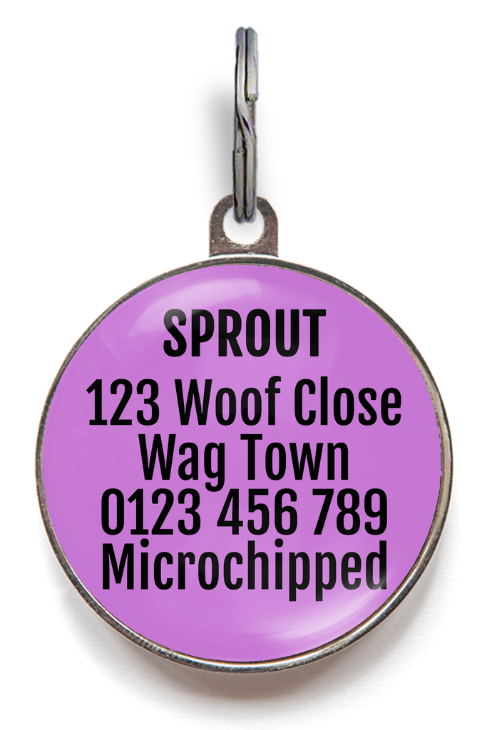 Collie Dog ID Tag - Black And White Collie Dog