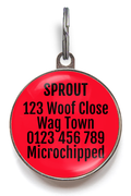 Beagle Dog ID Tag