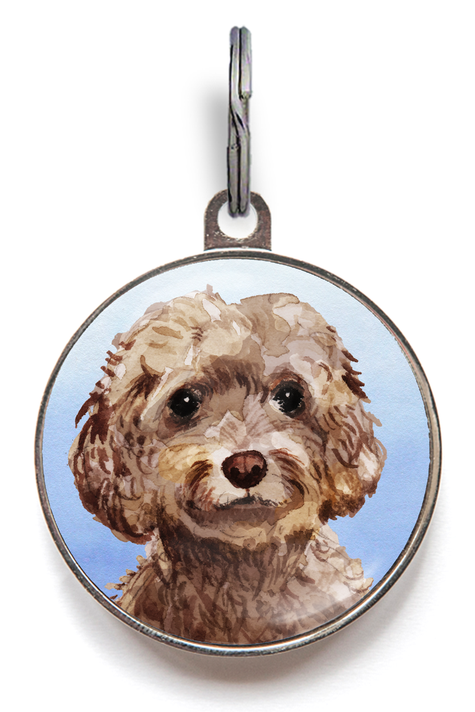 Brown Cockapoo Dog Tag - Blue