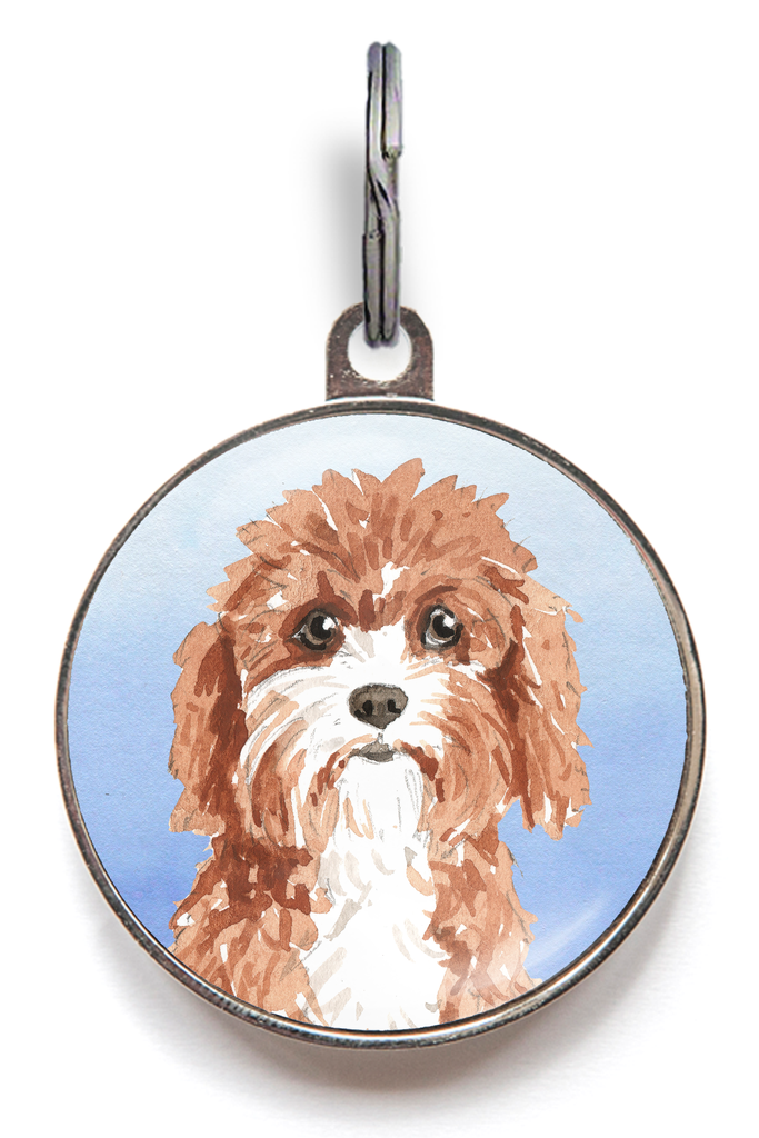 Cavapoo Dog Tag - Blue