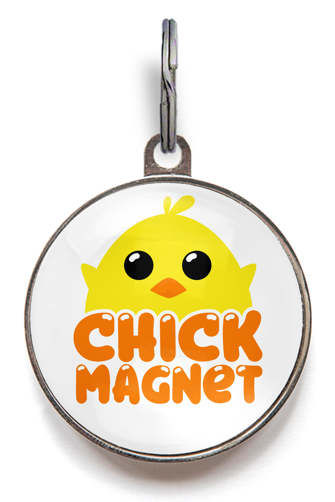 Chick Magnet Easter Pet Tag