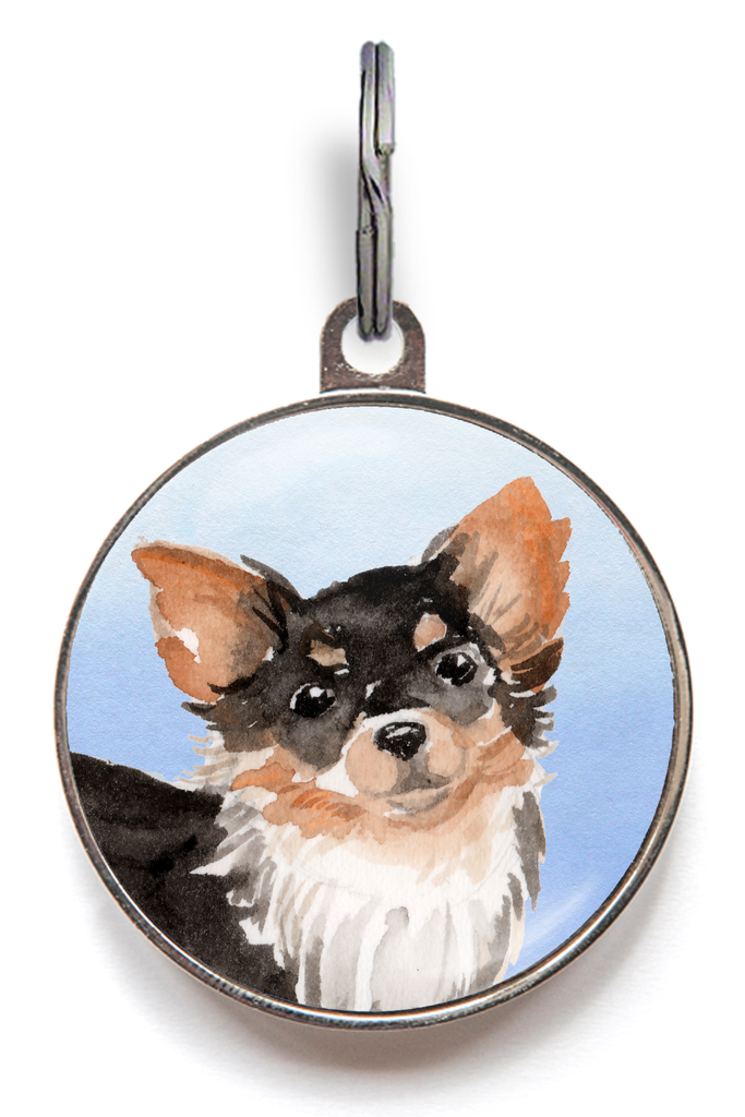 Chihuahua Black Tan Dog Tag - Blue