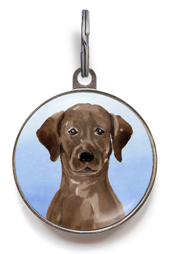 Chocolate Labrador Dog Tag - Blue