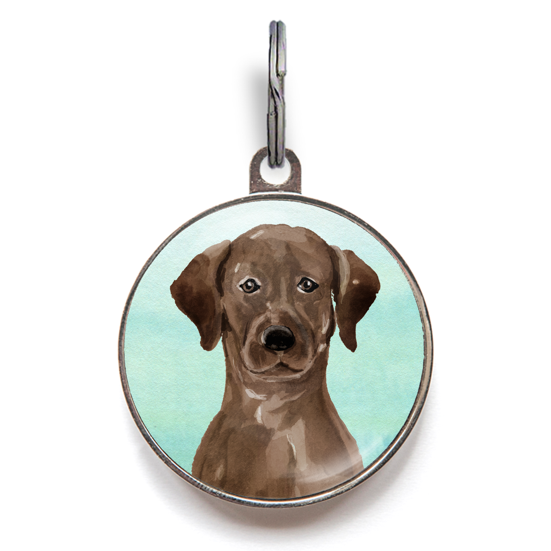 Chocolate Labrador Dog Tag - Green
