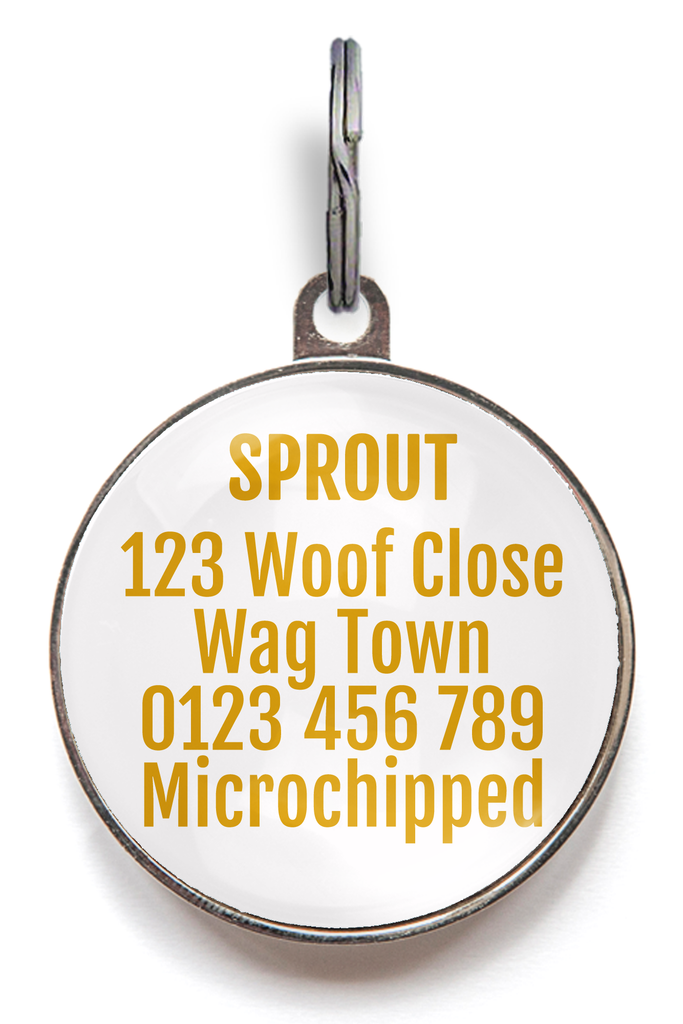 Coastal Stripes Pet ID Tag