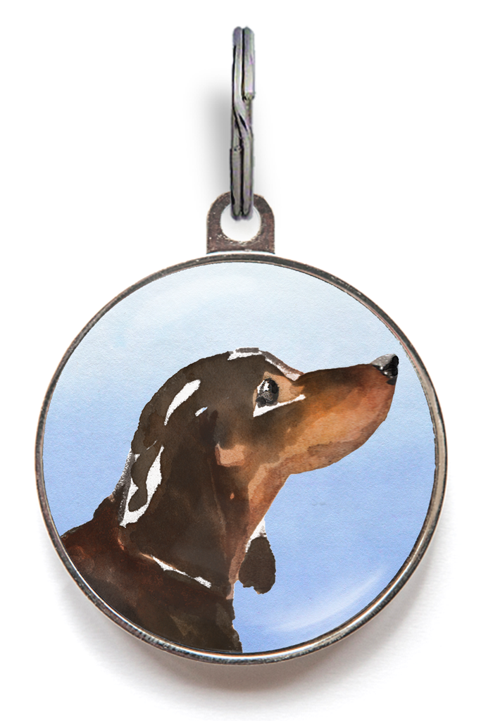 Dachshund Tan Black Dog Tag - Blue