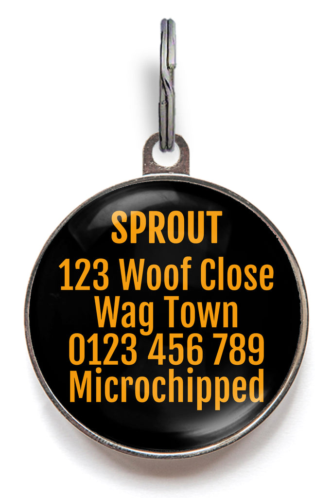 Back of day of the dead dog tag