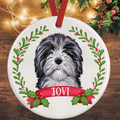 Doxiepoo Christmas Decoration