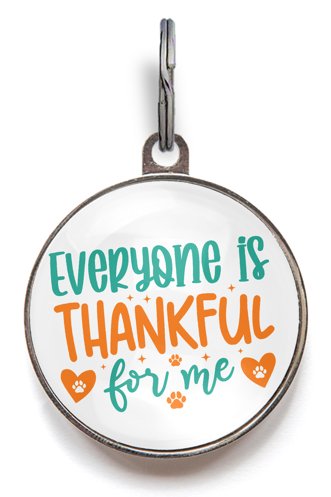 Thanksgiving Pet Tag - Everyone Is Thankful For Me