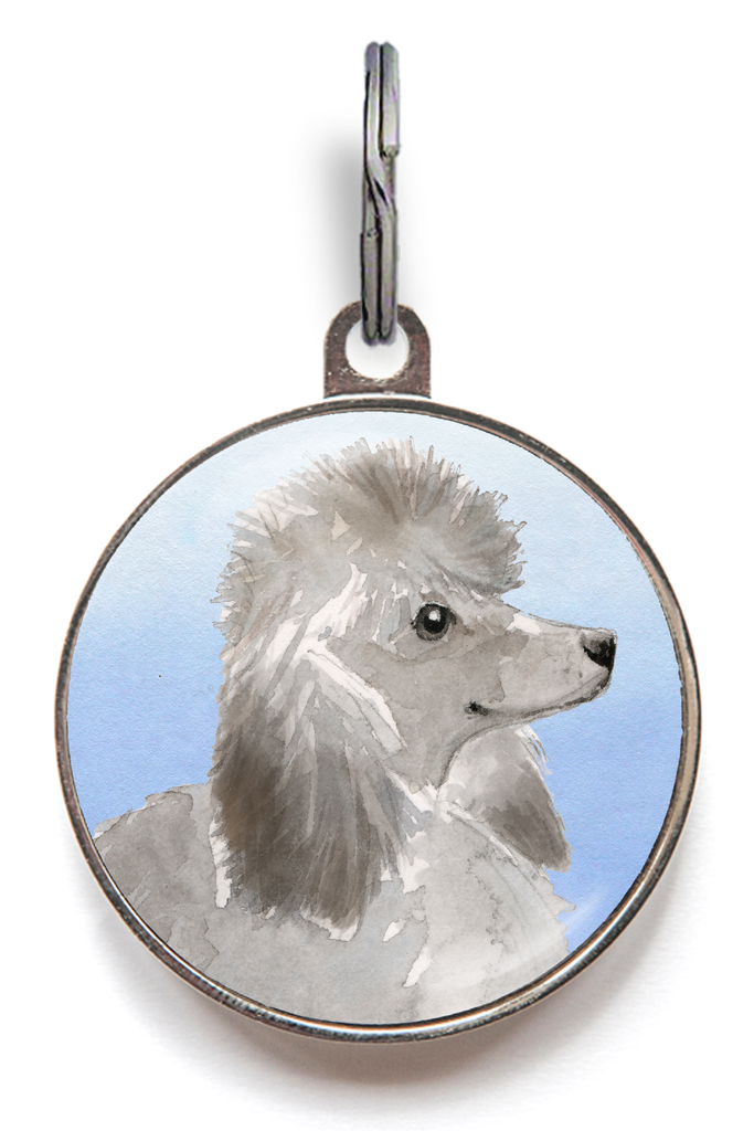Grey Poodle Dog Tag - Blue