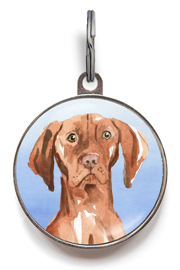 Hungarian Vizsla Dog Tag - Blue