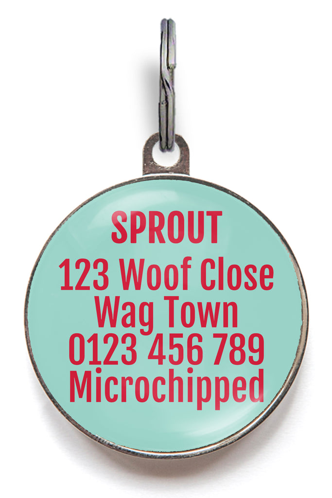 Back of summer ice lolly dog tag - can be personalised with up to 5 lines of text