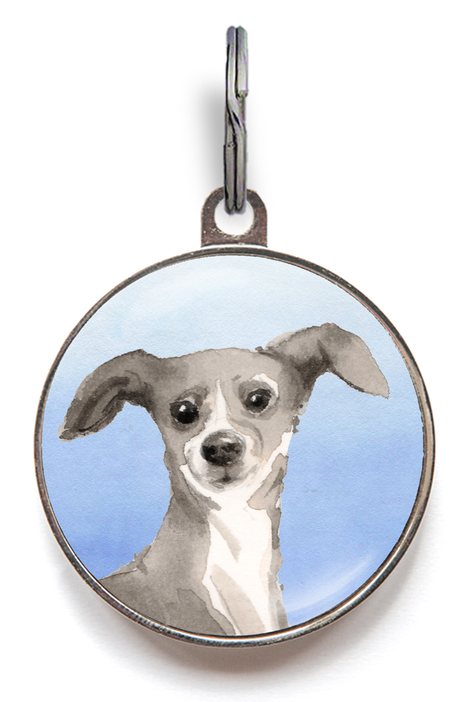 Italian Greyhound Dog Tag - Blue