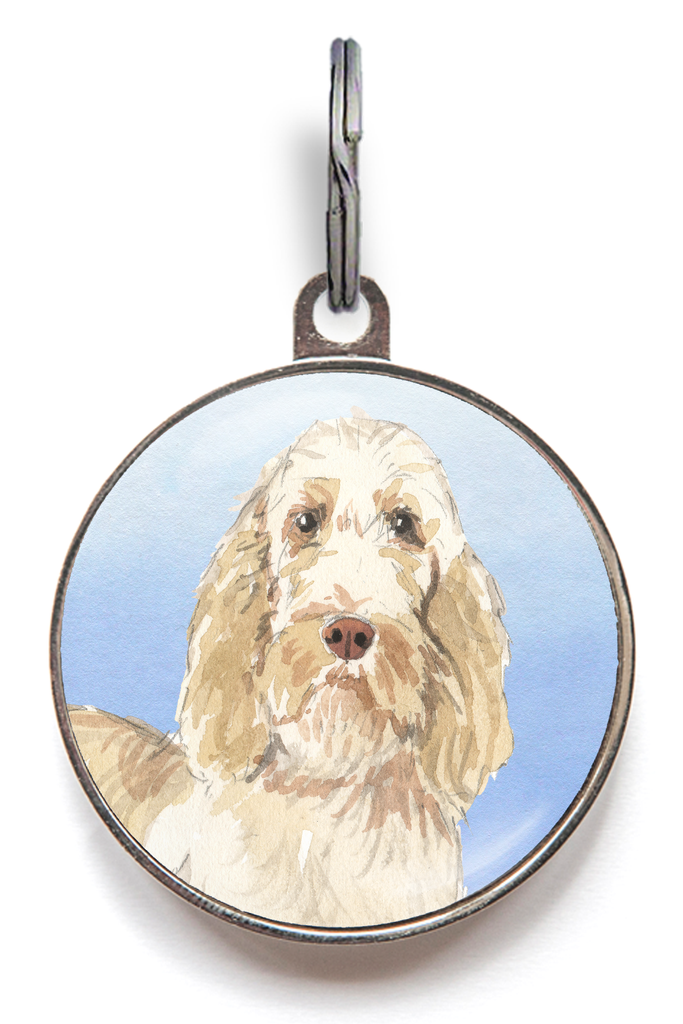 Italian Spinone Dog Tag - Blue