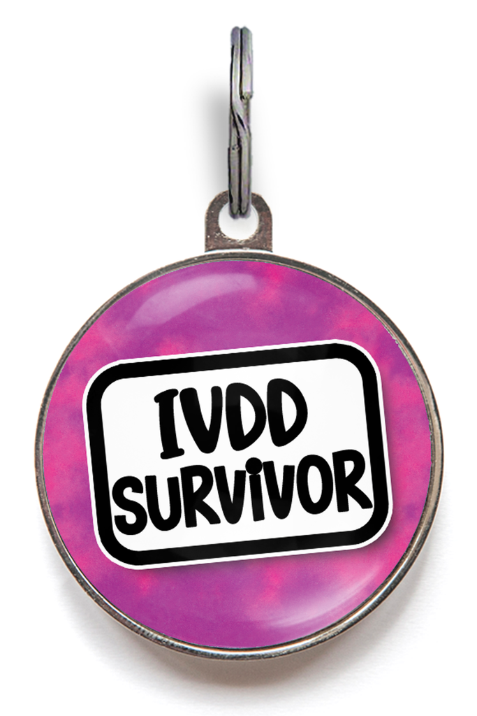 IVDD Survivor Pet tag