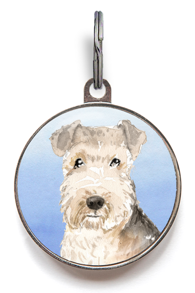 Lakeland Terrier Dog Tag - Blue