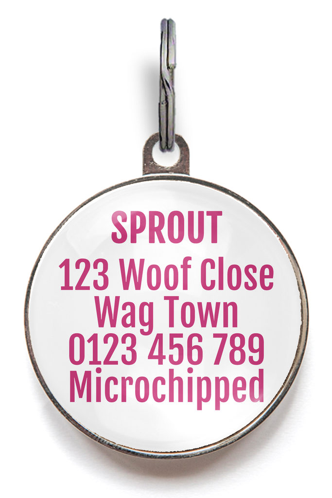 Back of Lily Dog Tag - Can be personalised with up to 5 lines of text.