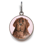 Newfoundland Dog Tag - Pink