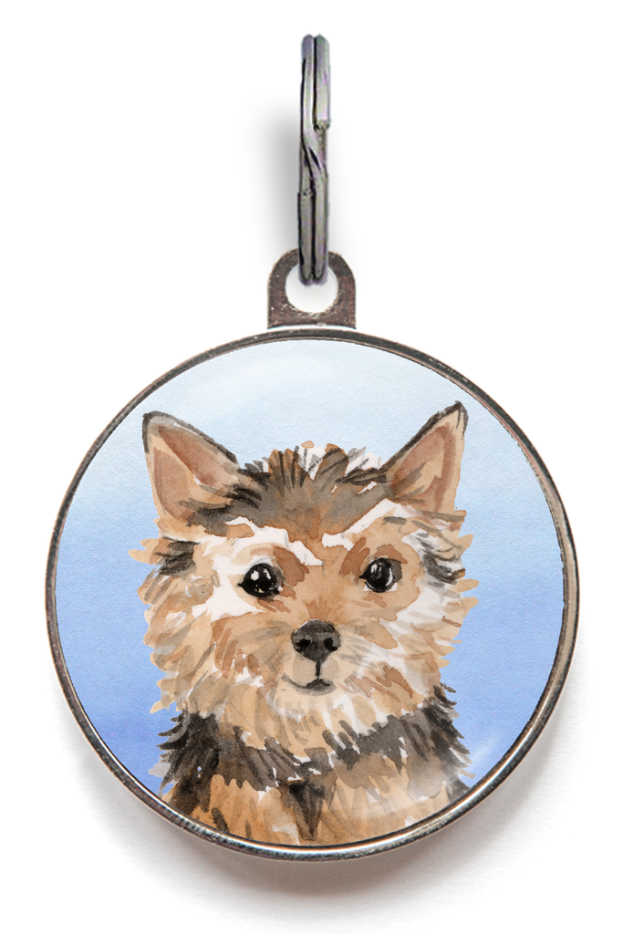 Norfolk Terrier Dog Tag - Blue
