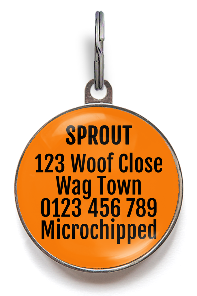 Back of orange slice pet tag - can be personalised with up to 5 lines of text on the back